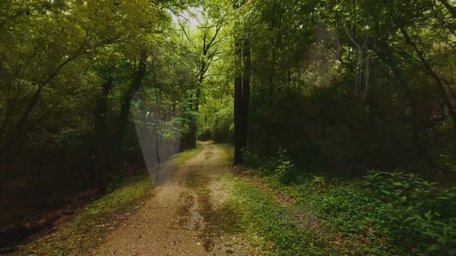 Гюльназ Гаджикурбанова & Мурад Гаджикурбанов - САЛАМАР