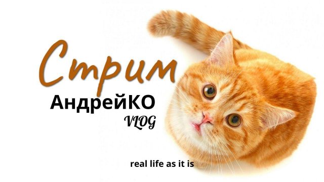 Онлайн трансляция Андрей&KO.