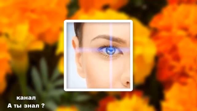Оказывается БАРХАТЦЫ применяла не правильно ! Вот как надо применять БАРХАТЦЫ .