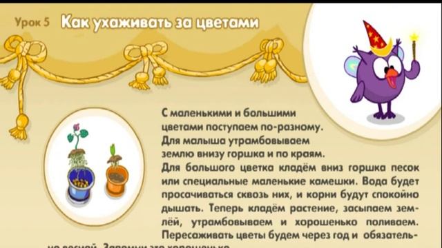 КАК УХАЖИВАТЬ ЗА ЦВЕТАМИ
