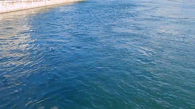 Эвбия. Пролив Эврип меняет направление течения