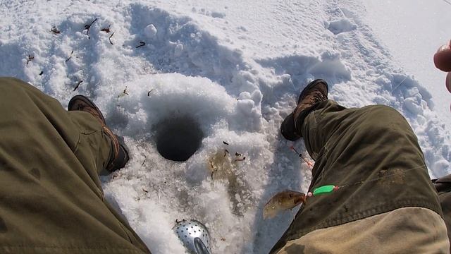 ОПЯТЬ НАВАГА!КОНЕЦ СЕЗОНА!ЗИМНЯЯ РЫБАЛКА ВЛАДИВОСТОК/ICEFISHING COD FISHING VLADIVOSTOK
