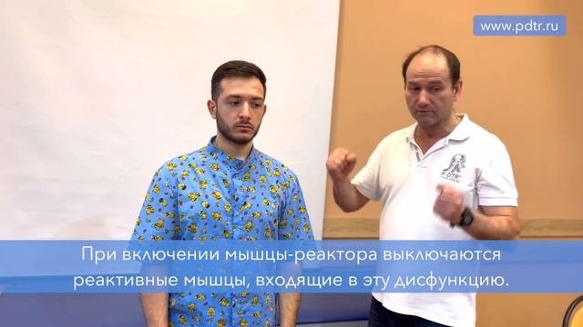 Реактор и реактивные мышцы | что это такое?