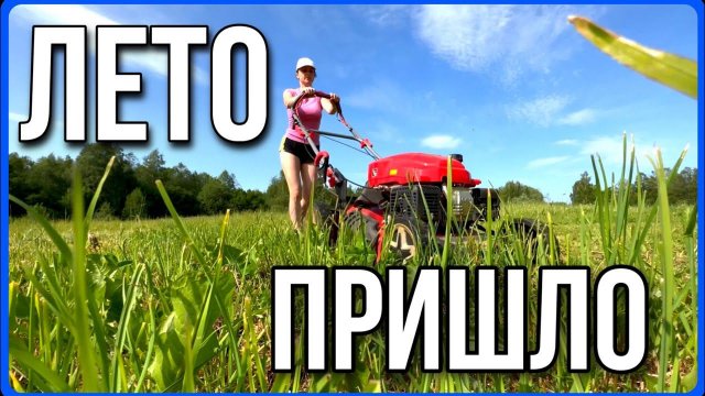 Целая неделя работы - результат. Дела на хуторе #хочувдеревню