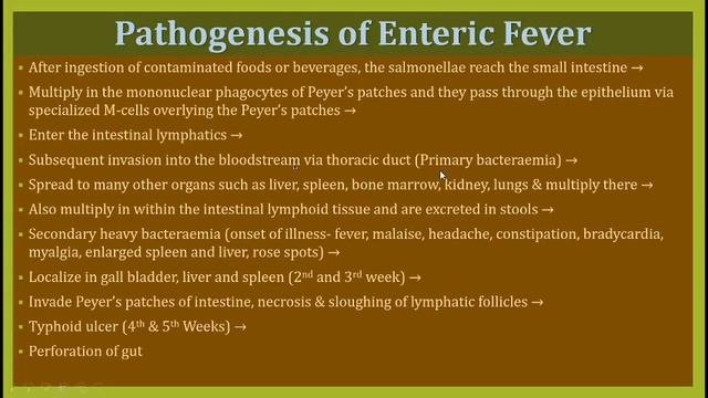 Systemic bacteriology review 2