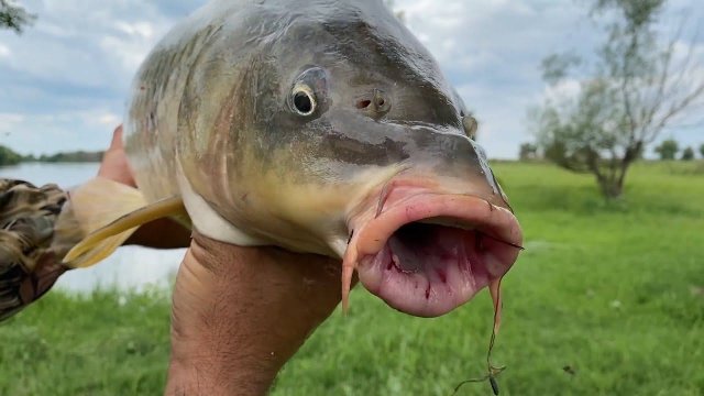 ПОДБОРКА ЛУЧШИХ МОМЕНТОВ ЗА 2022 ГОД. Рыбалка в Астраханской области. Это был рыбный год.