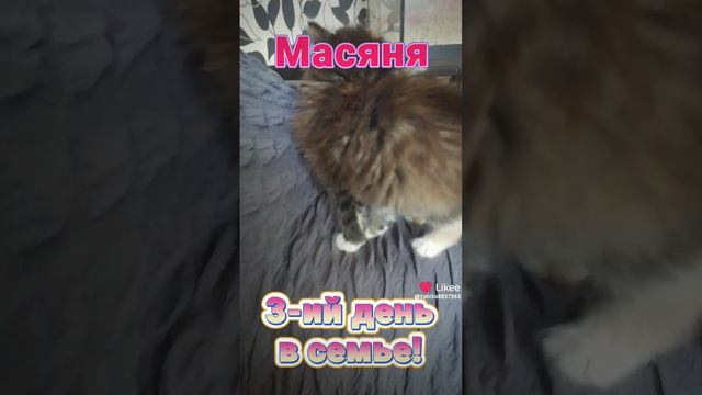 Like_7351393355069367153.mp4