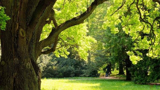 Ф М Достоевский Братья Карамазовы Часть 3 АУДИОКНИГА