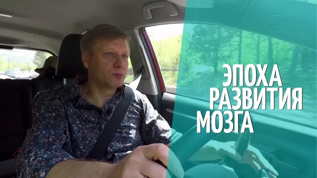 Блог Солнцева. Эпоха развития мозга