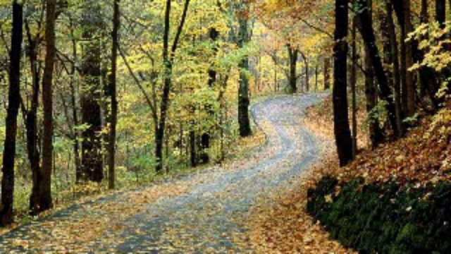 All Because of You...