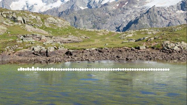 Абидат Шахбанова - Мы вместе 2024