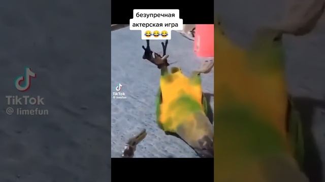 лучший актер