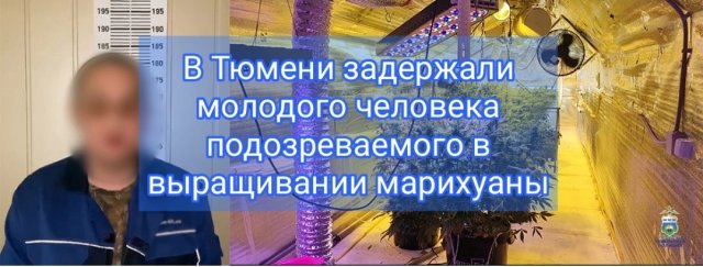 В Тюменской области сотрудники полиции задержали молодого человека, распространяющего наркотики