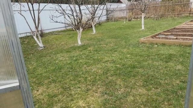 ДАЧНЫЕ БУДНИ 21 апреля 2023 г. Вывезла рассаду на дачу.