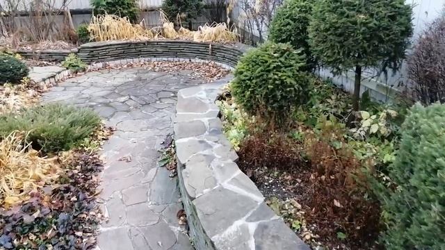 Видео журнал «Сады в отличной форме №2»