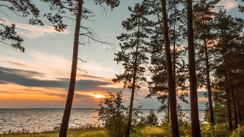 Обское море - летний вечер. Бердск, Новосибирская область, Западная Сибирь России. 24 июля 2022.