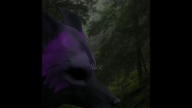 WildCraft | TikTok compilation 🩷