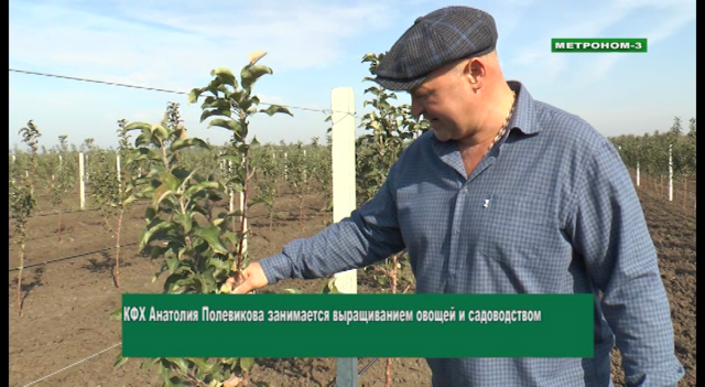 ФЕРМЕРСКОЕ ХОЗЯЙСТВО АНАТОЛИЯ ПОЛЕВИКОВА, ТБИЛИССКИЙ РАЙОН