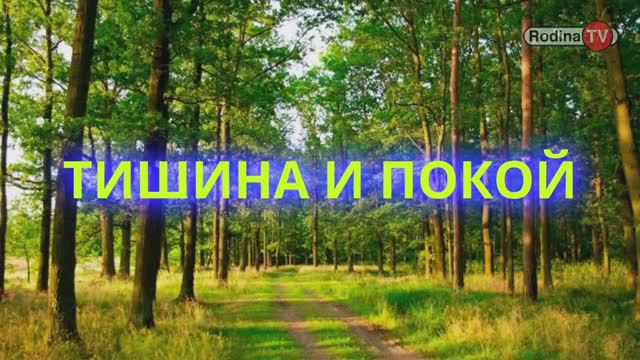 ТИШИНА И ПОКОЙ || Родина НВ