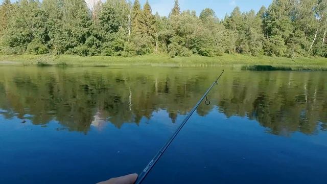 Спиннинг с берега. Рыбалка на реке