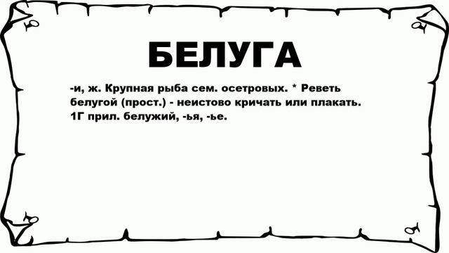 БЕЛУГА - что это такое? значение и описание