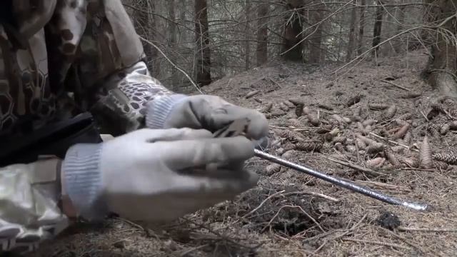 Лесные зарисовки от Штальхельма.1