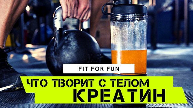 Что делает с вашим телом Креатин, стоит ли принимать добавки, улучшаем силовые показатели