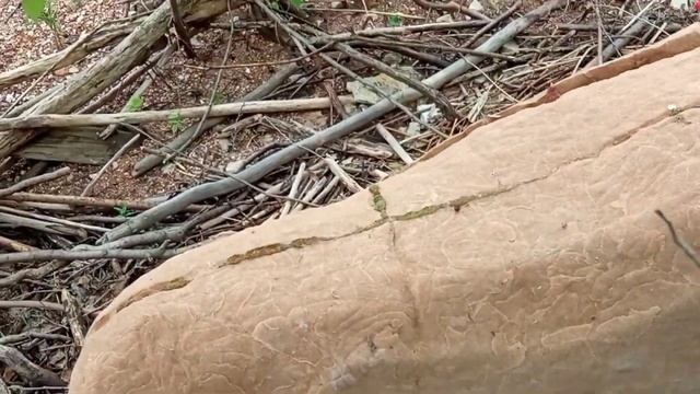 Мегалиты и другие тайны России "Megaliths and other secrets of Russia"