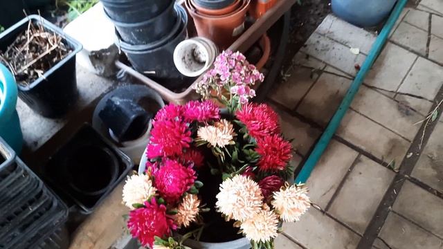 Букеты к 1- му сентября из садовых цветов.