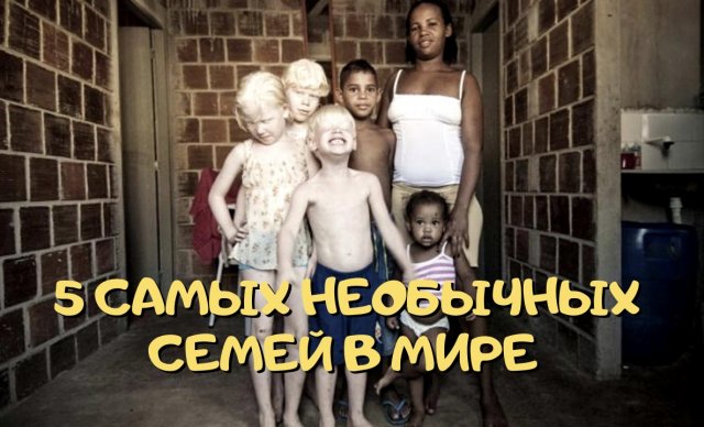 5 САМЫХ НЕОБЫЧНЫХ СЕМЕЙ В МИРЕ