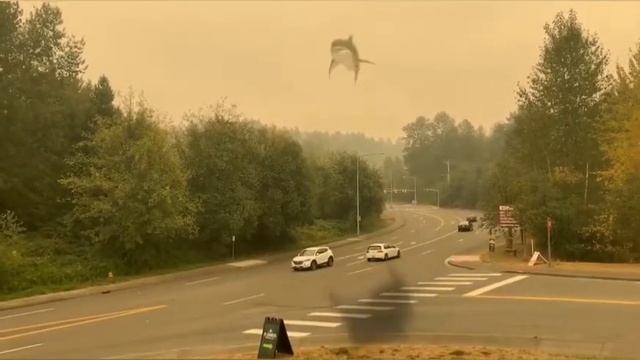 Топ 5 гигантов Тревора Хендерсона снятых на камеру