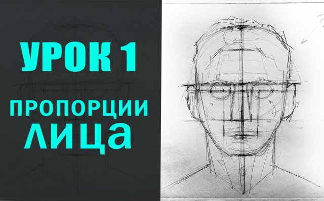 Как нарисовать лицо человека? УРОК 1. ПРОПОРЦИИ ЛИЦА.