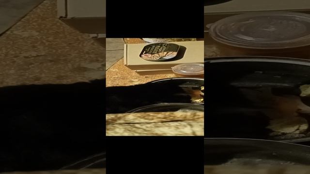 VID20240101212239.mp4
