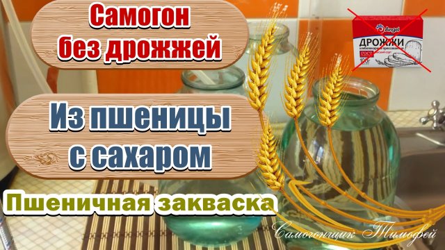 Самогон без дрожжей ? Самогон из пшеницы с сахаром ? Пшеничная закваска