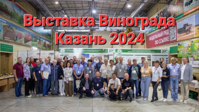 Выставка винограда Казань 2024