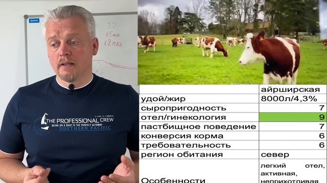 Какая порода коров лучше | ТОП-6 молочных пород