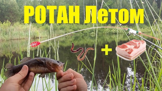 Ловля Ротана на Лесном Озере летом. Рыбалка на боковой кивок