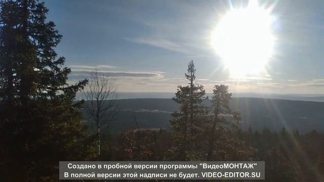 Осень в тайге. Промысловая охота. Эпизоды