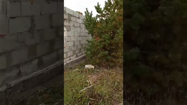 баня из газобетона 6х6