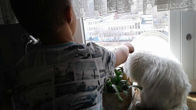 Лион и кот Боб
