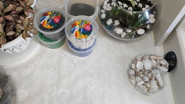 ЧТО НУЖНО ДЛЯ ФЛОРАРИУМА? Что нужно купить, чтобы делать красивые флорариумы? Нюансы для новичков