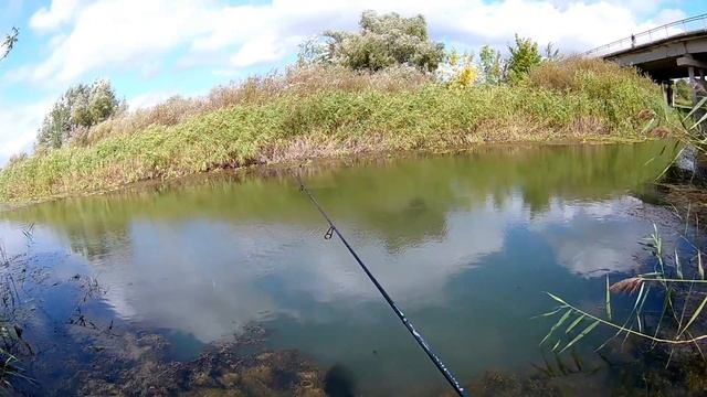 Осенний мормышинг. Ловля плотвы на мормышку с Dayo Prestige.