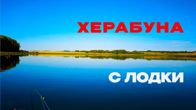 От НИХ удочка ГНЁТСЯ, леска ЗВЕНИТ!|Xinma ZZ339 4,8/19