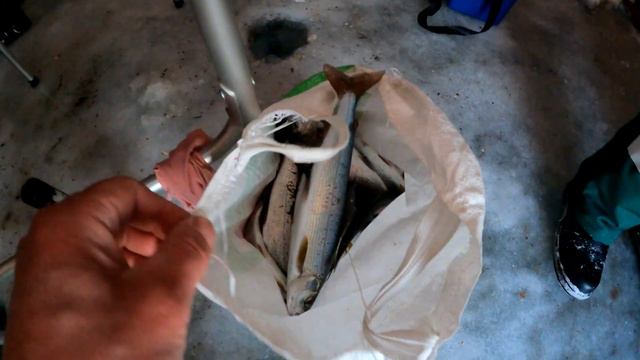 рыбалка в Северобайкальске на Хакусах !!!