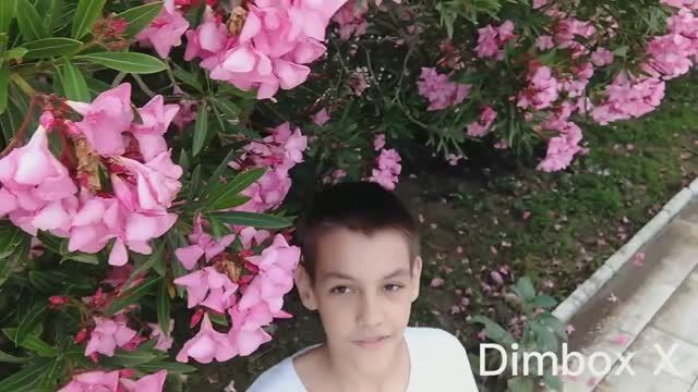 Интересное рядом