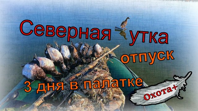 Северная утка. Отпуск. 3 дня в палатке на озере
