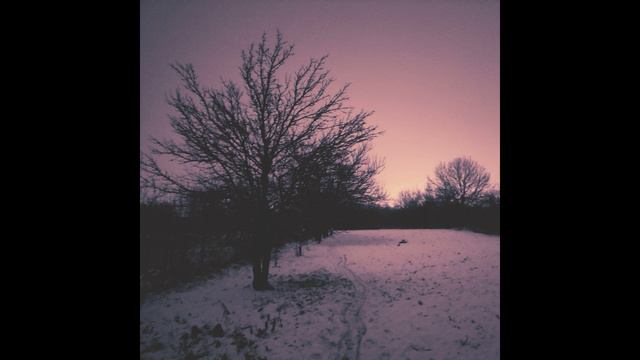 Sunbyonic - Amiss