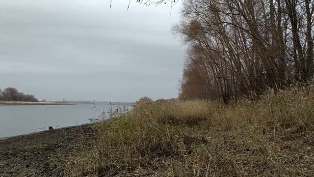 Сезон летней рыбалки 2021 закрыт.