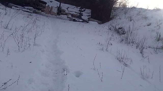 отстрел дроби 7 . 28 гр и пули стрела и спутник . бекас 16 м авто суж 0.5