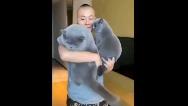 Если бы не Коты, что бы с нами было_ Смешные коты и кошки